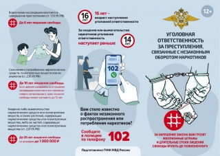 В Курске проходит акция &laquo;Чистое поколение - 2024&raquo;. ⛔?
