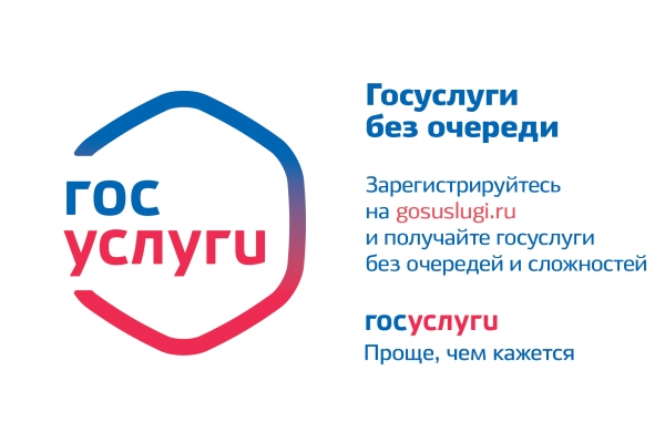 Госуслуги в электронном виде